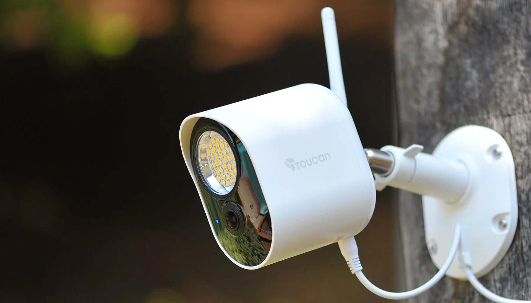 How Floodlight Cameras Protect Families from Theft at Night | The Toucan Security Floodlight Camera installed on a tree trunk