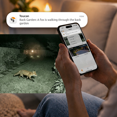 A person holds a smartphone showing a security app notification about a fox in a back garden. The phone screen displays a night-vision garden photo of a fox walking outdoors, with a Toucan security app alert bubble above it.