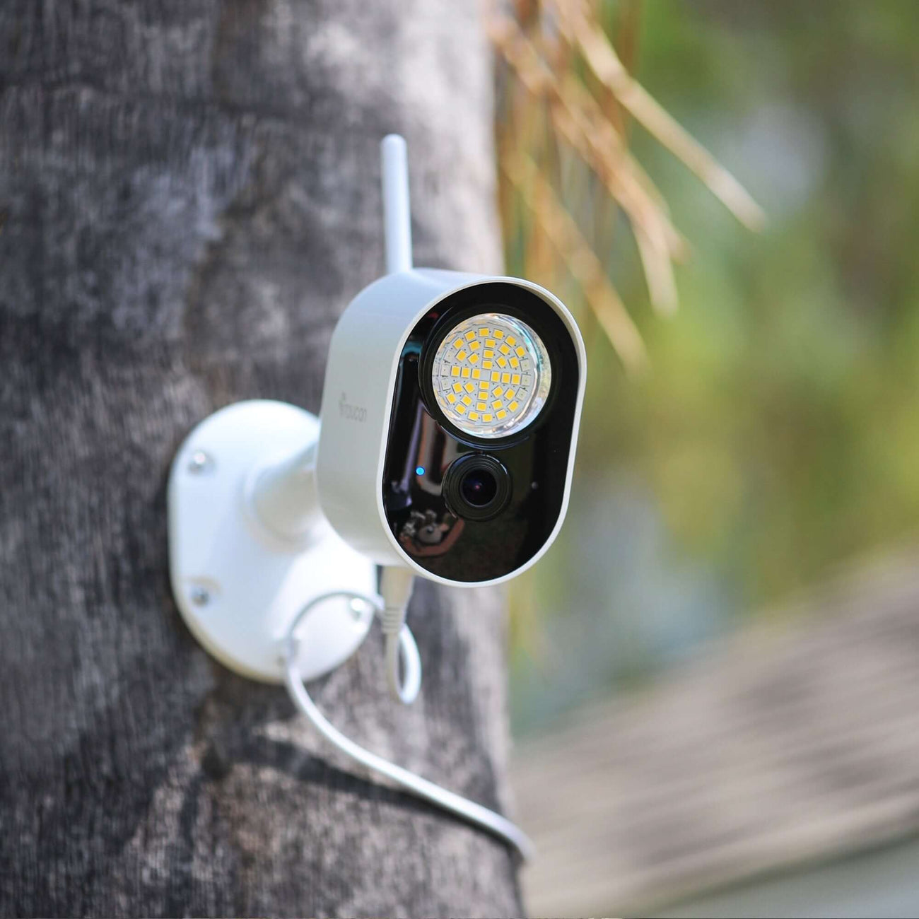 Toucan floodlight camera monitoring a backyard at night
